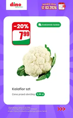Dino - gazetka promocyjna Specjalna oferta na 17.03.2026 - promocje spoza gazetki od wtorku 17.03 do wtorku 17.03 - strona 3
