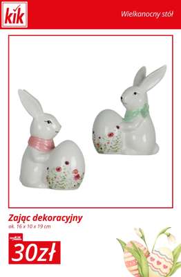 KiK - gazetka promocyjna Wielkanocny stół – wszystko w super cenach! od wtorku 17.03  - strona 11