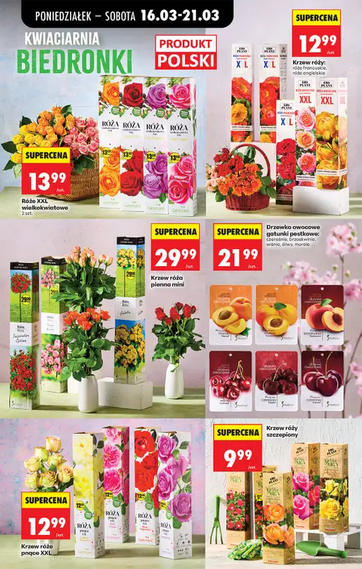 Biedronka - gazetka promocyjna Od poniedziałku, Z ladą tradycyjną od poniedziałku 16.03 do soboty 21.03 - strona 81