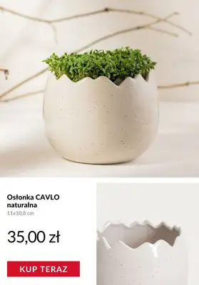 Homla - gazetka promocyjna Ozdoby wielkanocne od wtorku 17.03  - strona 7