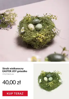 Homla - gazetka promocyjna Ozdoby wielkanocne od wtorku 17.03  - strona 3