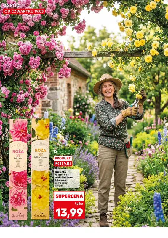 Kaufland - gazetka promocyjna Oferta Kaufland - Ogród od czwartku 19.03 do środy 25.03 - strona 12