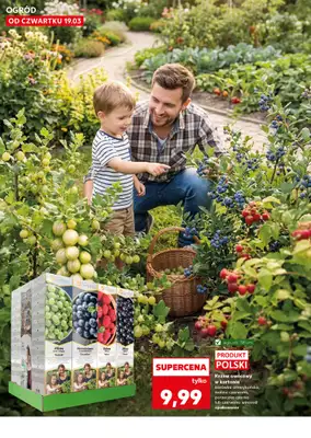 Kaufland - gazetka promocyjna Oferta Kaufland - Ogród od czwartku 19.03 do środy 25.03 - strona 10