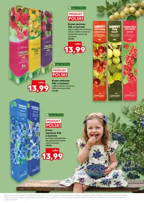 Kaufland - gazetka promocyjna Oferta Kaufland - Ogród od czwartku 19.03 do środy 25.03 - strona 11