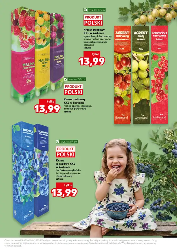 Kaufland - gazetka promocyjna Oferta Kaufland - Ogród od czwartku 19.03 do środy 25.03 - strona 11