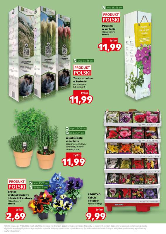 Kaufland - gazetka promocyjna Oferta Kaufland - Ogród od czwartku 19.03 do środy 25.03 - strona 13