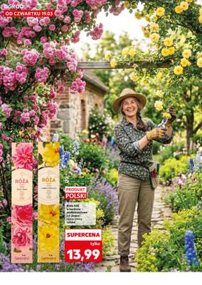 Kaufland - gazetka promocyjna Oferta Kaufland - Ogród od czwartku 19.03 do środy 25.03 - strona 12