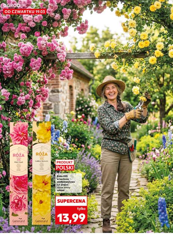 Kaufland - gazetka promocyjna Oferta Kaufland - Ogród od czwartku 19.03 do środy 25.03 - strona 12