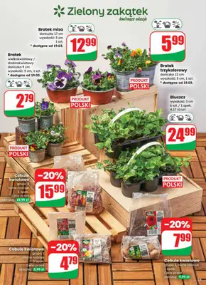 Dino - gazetka promocyjna Gazetka 12 / 2026 od środy 18.03 do wtorku 24.03 - strona 59