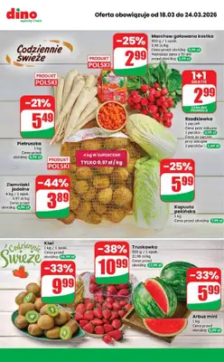 Dino - gazetka promocyjna Najlepsze promocje! od środy 18.03 do wtorku 24.03 - strona 10