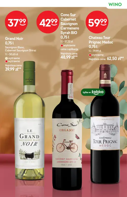 Żabka - gazetka promocyjna Katalog win od środy 18.03 do wtorku 31.03 - strona 13