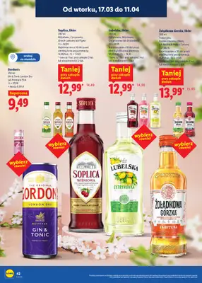 Lidl - gazetka promocyjna Katalog alkoholi mocnych i win od wtorku 17.03 do soboty 11.04 - strona 42