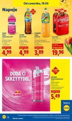 Lidl - gazetka promocyjna Oferta od czwartku od czwartku 19.03 do soboty 21.03 - strona 42