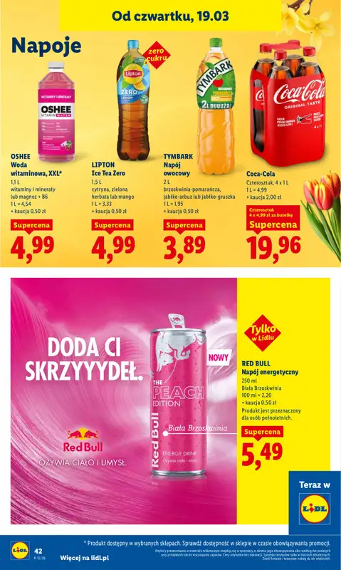 Lidl - gazetka promocyjna Oferta od czwartku od czwartku 19.03 do soboty 21.03 - strona 42