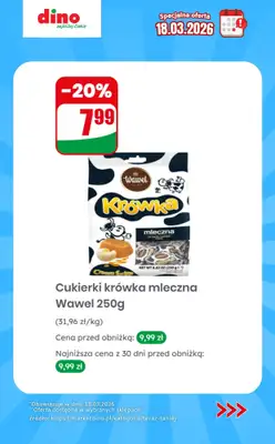 Dino - gazetka promocyjna Specjalna oferta na 18.03.2026 - promocje spoza gazetki od środy 18.03 do środy 18.03 - strona 10