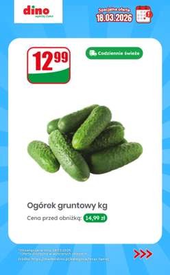 Dino - gazetka promocyjna Specjalna oferta na 18.03.2026 - promocje spoza gazetki od środy 18.03 do środy 18.03 - strona 5
