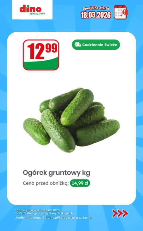 Dino - gazetka promocyjna Specjalna oferta na 18.03.2026 - promocje spoza gazetki od środy 18.03 do środy 18.03 - strona 5