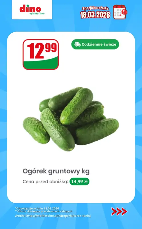Dino - gazetka promocyjna Specjalna oferta na 18.03.2026 - promocje spoza gazetki od środy 18.03 do środy 18.03 - strona 5