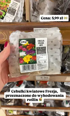 Dino - gazetka promocyjna Zakupowe inspiracje w Dino od środy 18.03  - strona 2