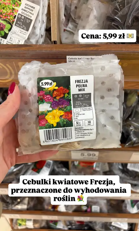 Dino - gazetka promocyjna Zakupowe inspiracje w Dino   - strona 2