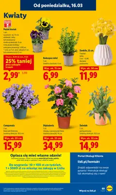 Lidl - gazetka promocyjna Oferta od poniedziałku od poniedziałku 16.03 do środy 18.03 - strona 71
