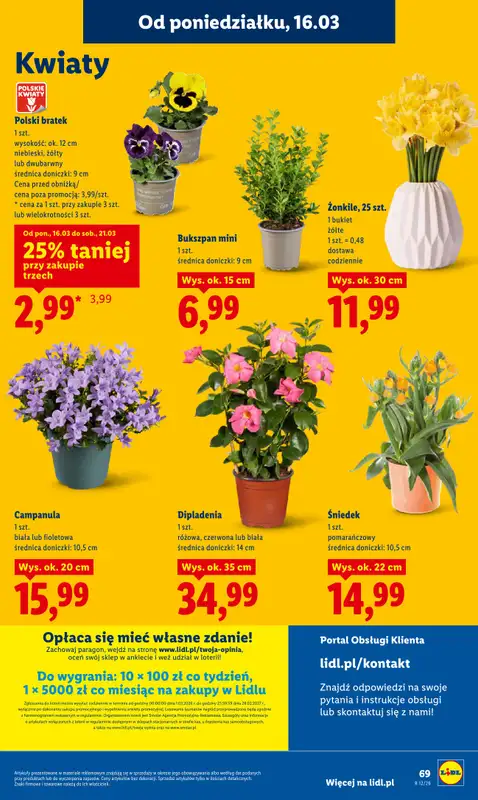 Lidl - gazetka promocyjna Oferta od poniedziałku od poniedziałku 16.03 do środy 18.03 - strona 71