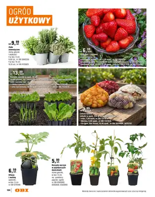 OBI - gazetka promocyjna Katalog Ogród od środy 18.03 do niedzieli 31.05 - strona 104