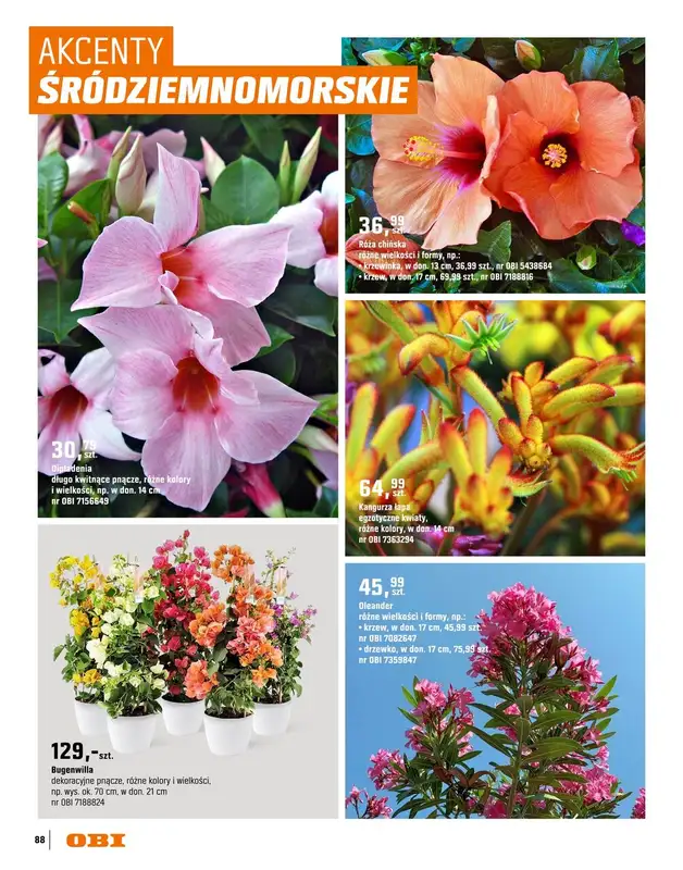 OBI - gazetka promocyjna Katalog Ogród od środy 18.03 do niedzieli 31.05 - strona 88