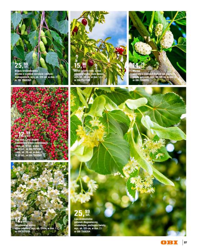 OBI - gazetka promocyjna Katalog Ogród od środy 18.03 do niedzieli 31.05 - strona 97