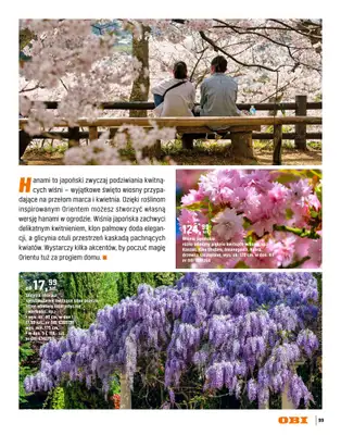 OBI - gazetka promocyjna Katalog Ogród od środy 18.03 do niedzieli 31.05 - strona 99