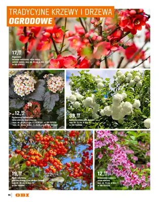 OBI - gazetka promocyjna Katalog Ogród od środy 18.03 do niedzieli 31.05 - strona 96