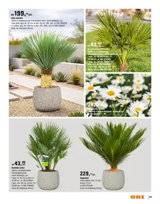 OBI - gazetka promocyjna Katalog Ogród od środy 18.03 do niedzieli 31.05 - strona 87