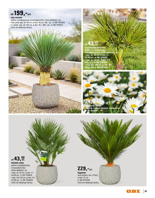 OBI - gazetka promocyjna Katalog Ogród od środy 18.03 do niedzieli 31.05 - strona 87