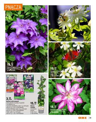 OBI - gazetka promocyjna Katalog Ogród od środy 18.03 do niedzieli 31.05 - strona 89