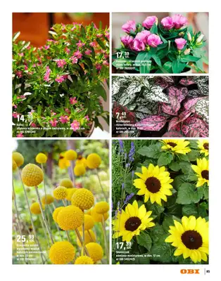 OBI - gazetka promocyjna Katalog Ogród od środy 18.03 do niedzieli 31.05 - strona 85