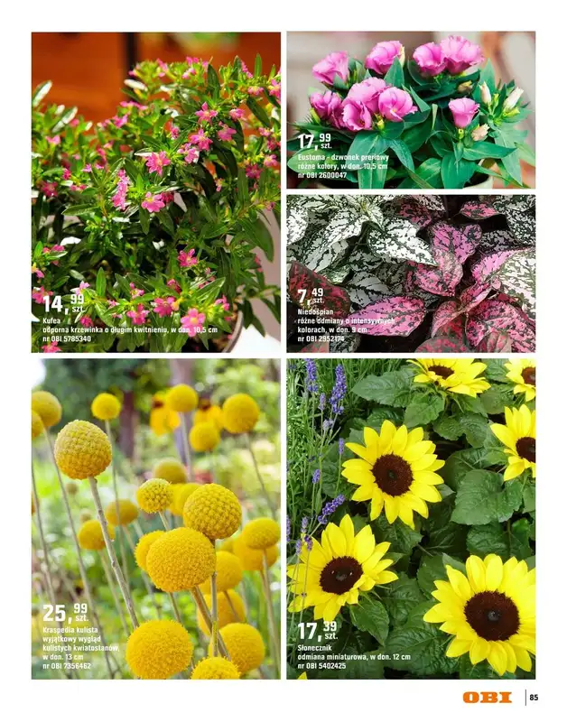 OBI - gazetka promocyjna Katalog Ogród od środy 18.03 do niedzieli 31.05 - strona 85