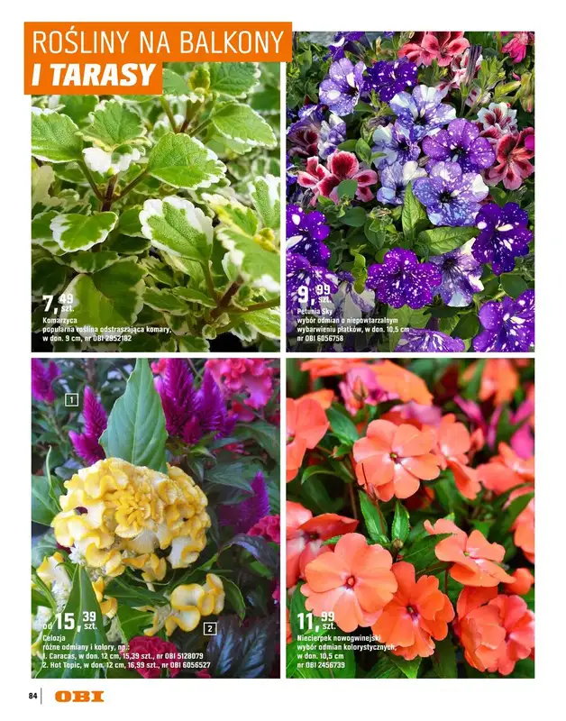 OBI - gazetka promocyjna Katalog Ogród od środy 18.03 do niedzieli 31.05 - strona 84