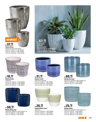 OBI - gazetka promocyjna Katalog Ogród od środy 18.03 do niedzieli 31.05 - strona 113