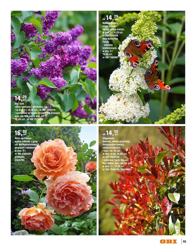 OBI - gazetka promocyjna Katalog Ogród od środy 18.03 do niedzieli 31.05 - strona 93