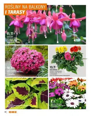 OBI - gazetka promocyjna Katalog Ogród od środy 18.03 do niedzieli 31.05 - strona 82