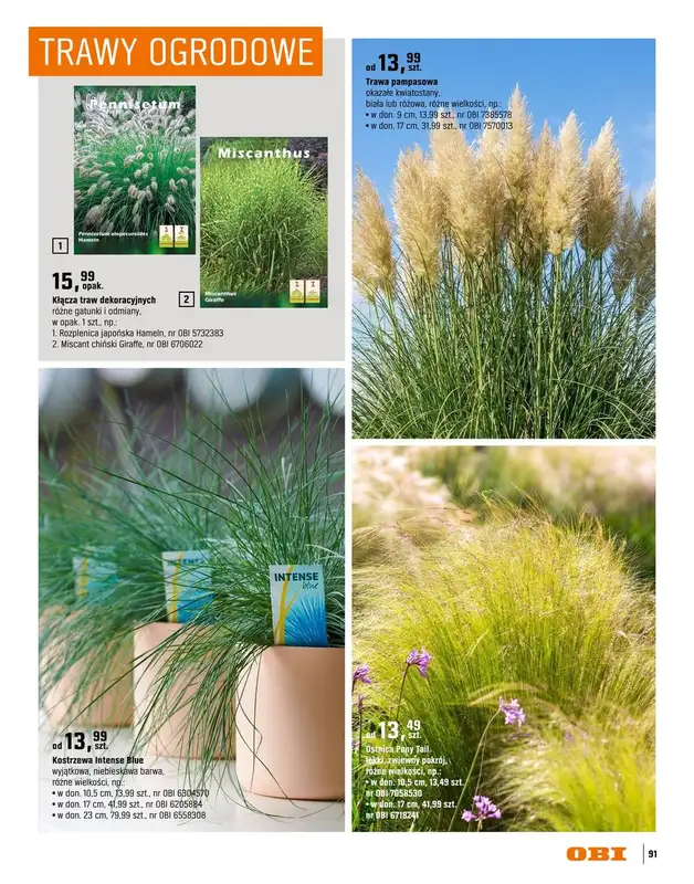 OBI - gazetka promocyjna Katalog Ogród od środy 18.03 do niedzieli 31.05 - strona 91