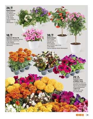 OBI - gazetka promocyjna Katalog Ogród od środy 18.03 do niedzieli 31.05 - strona 83