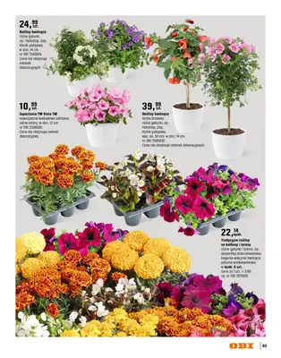 OBI - gazetka promocyjna Katalog Ogród od środy 18.03 do niedzieli 31.05 - strona 83