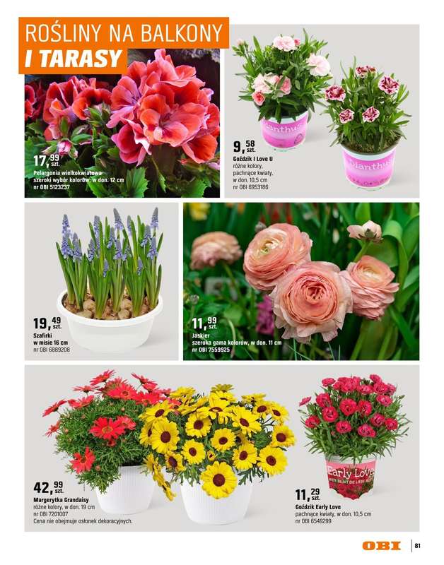 OBI - gazetka promocyjna Katalog Ogród od środy 18.03 do niedzieli 31.05 - strona 81