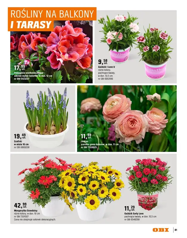 OBI - gazetka promocyjna Katalog Ogród od środy 18.03 do niedzieli 31.05 - strona 81