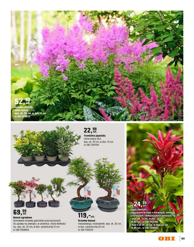 OBI - gazetka promocyjna Katalog Ogród od środy 18.03 do niedzieli 31.05 - strona 101