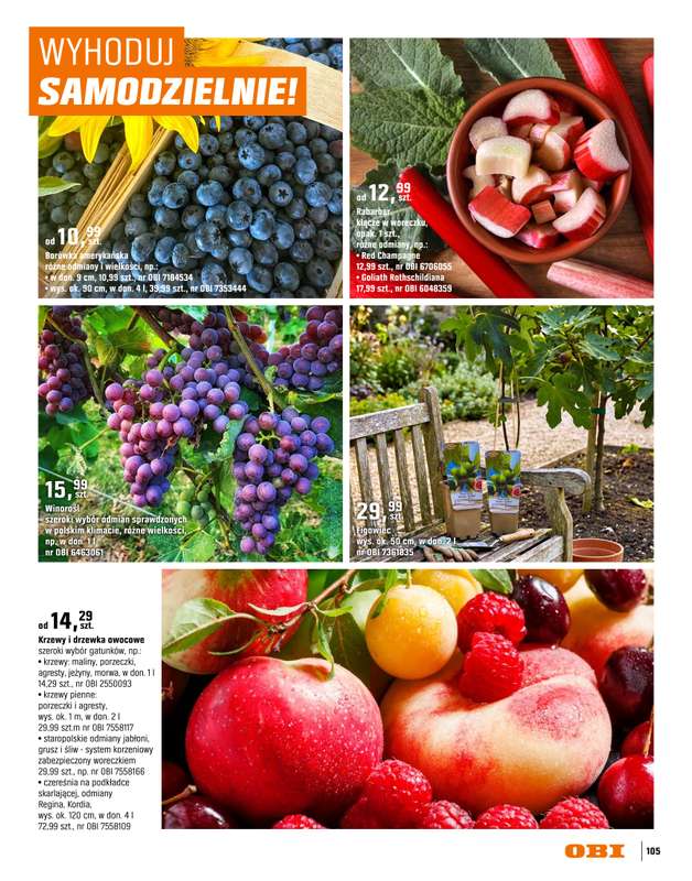 OBI - gazetka promocyjna Katalog Ogród od środy 18.03 do niedzieli 31.05 - strona 105