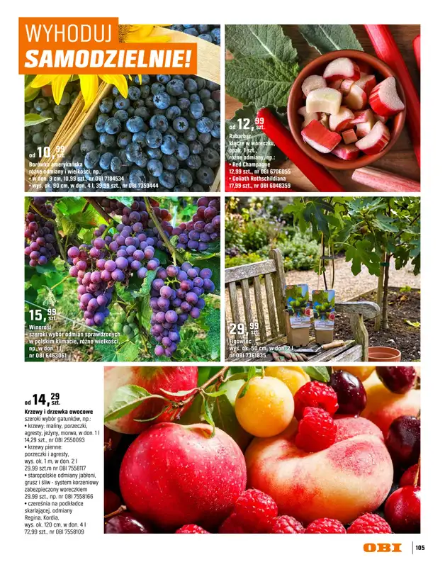 OBI - gazetka promocyjna Katalog Ogród od środy 18.03 do niedzieli 31.05 - strona 105