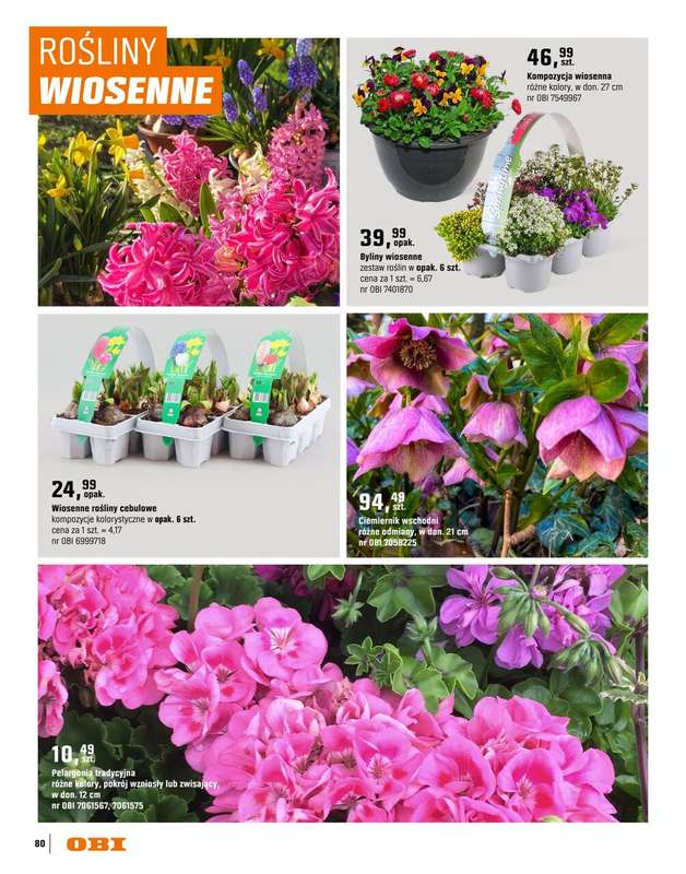OBI - gazetka promocyjna Katalog Ogród od środy 18.03 do niedzieli 31.05 - strona 80