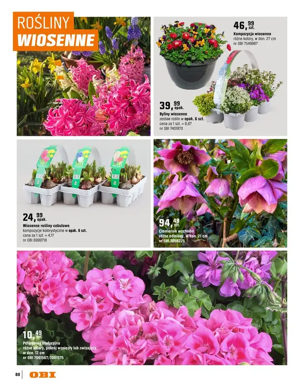 OBI - gazetka promocyjna Katalog Ogród od środy 18.03 do niedzieli 31.05 - strona 80